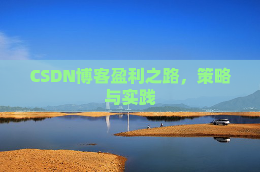 CSDN博客盈利之路，策略与实践